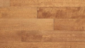 Yellow Birch Saratoga 